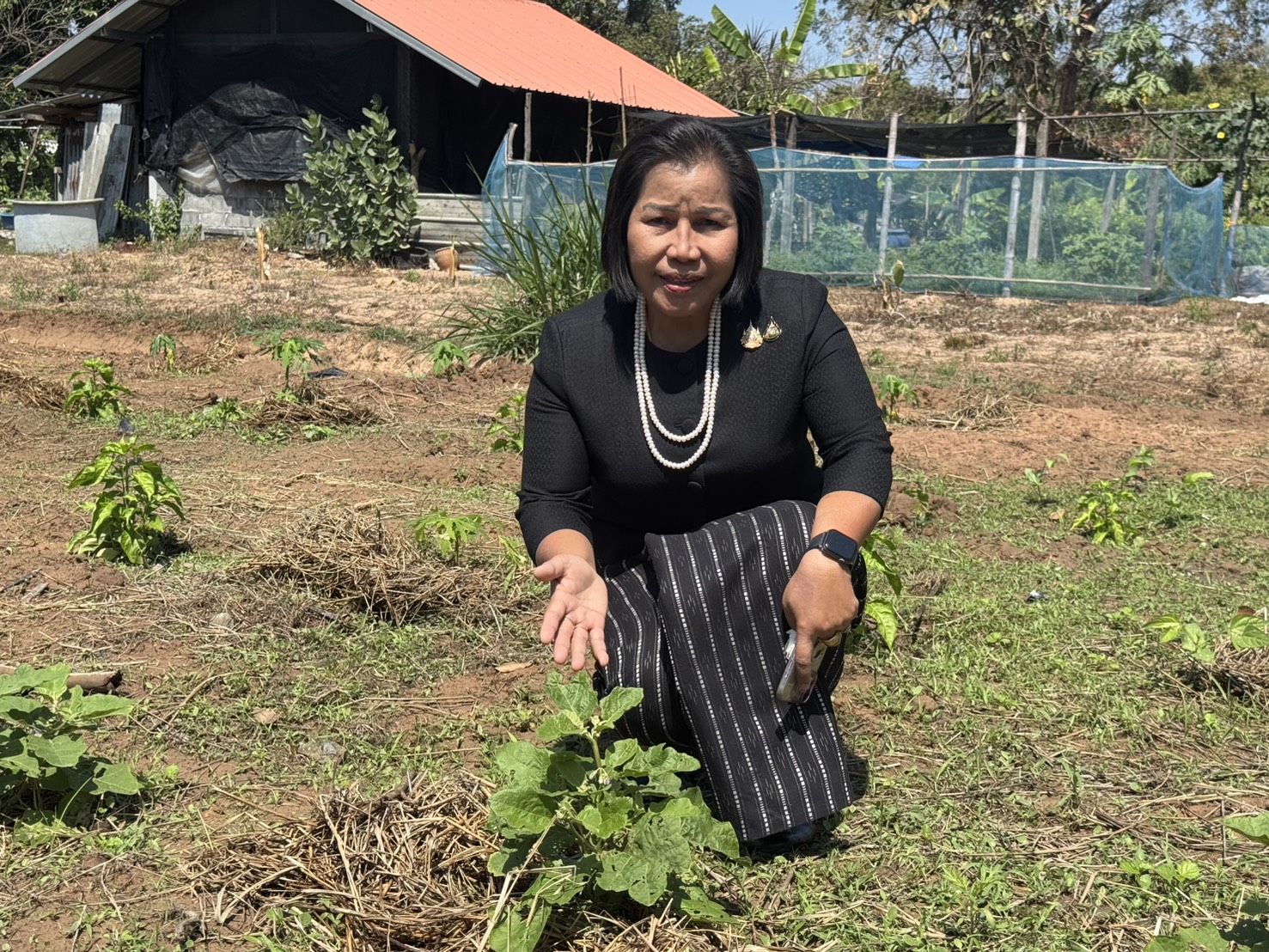 ผู้ตรวจราชการกรม (นางนวลจันทร์ ศรีมงคล) ปฏิบัติหน้าที่ผู้อำนวยการศูนย์ศึกษาและพัฒนาชุมชนอุบลราชธานี ลงพื้นที่ติดตามการขับเคลื่อนงานศูนย์สารภีอุบลราชธานี